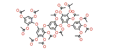 Hydroxypentafuhalol B tetradecaacetate